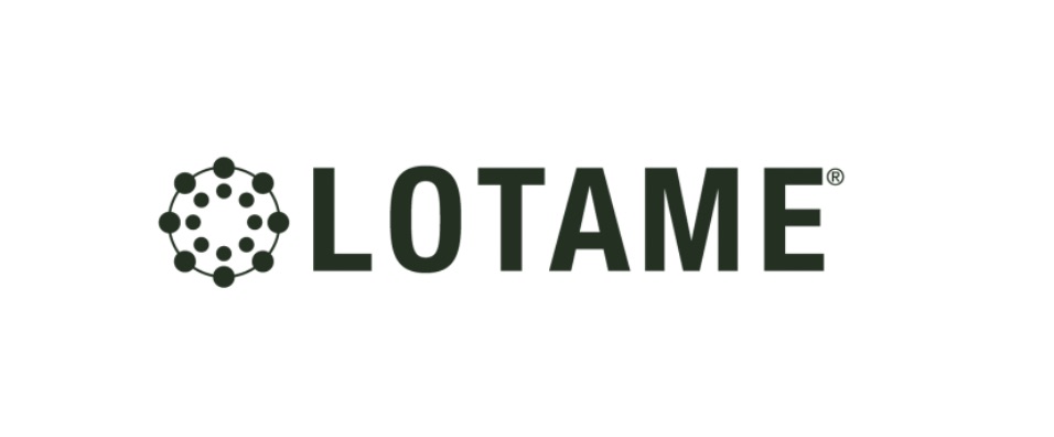 Lotame (1)